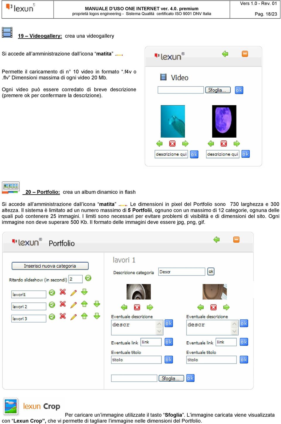 Le dimensioni in pixel del Portfolio sono 730 larghezza e 300 altezza.