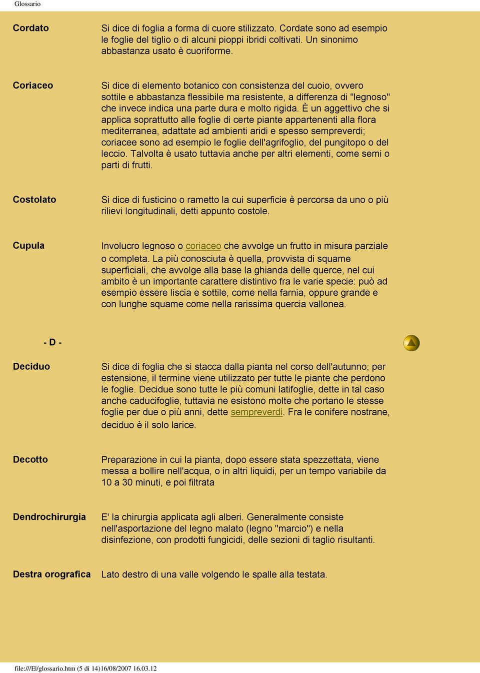 È un aggettivo che si applica soprattutto alle foglie di certe piante appartenenti alla flora mediterranea, adattate ad ambienti aridi e spesso sempreverdi; coriacee sono ad esempio le foglie