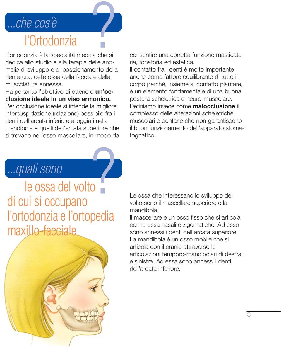 Per occlusione ideale si intende la migliore intercuspidazione (relazione) possibile fra i denti dell arcata inferiore alloggiati nella mandibola e quelli dell arcata superiore che si trovano nell