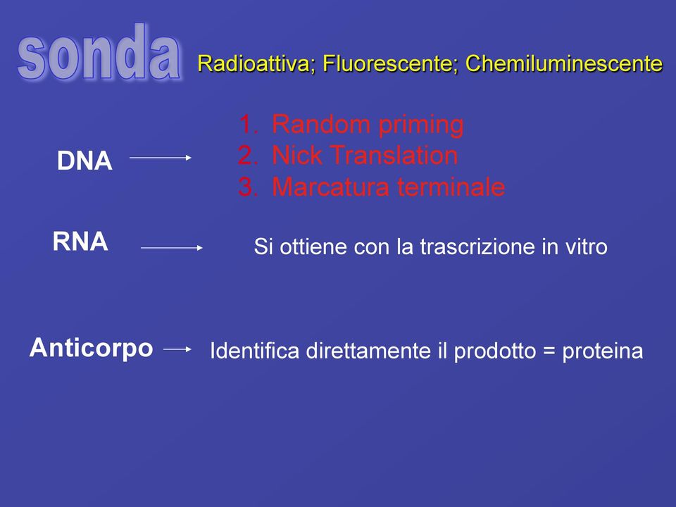 Marcatura terminale Si ottiene con la trascrizione