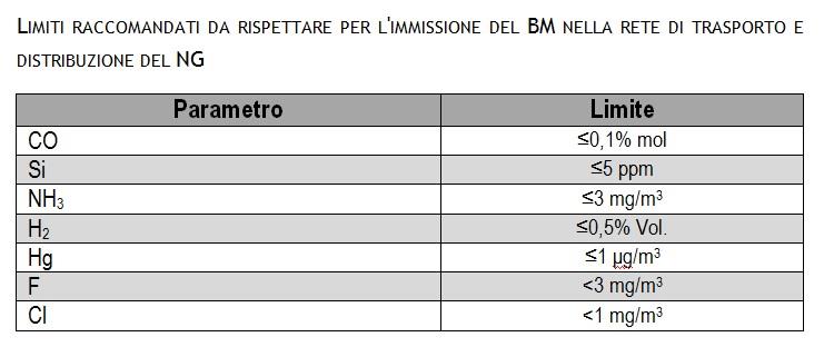 II. Biometano immesso nella rete di trasporto e distribuzione del