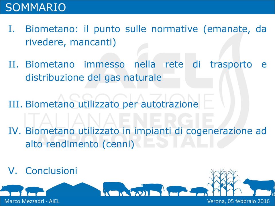 Biometano immesso nella rete di trasporto e distribuzione del gas naturale