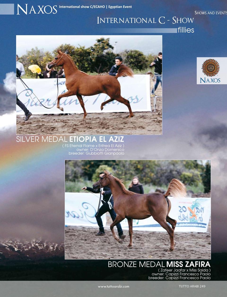 BRONZE MEDAL MISS ZAFIRA ( Zafeer Jaafar x Miss Saida ) owner: Capizzi