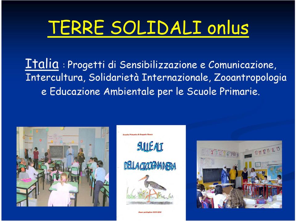 Intercultura, Solidarietà Internazionale,