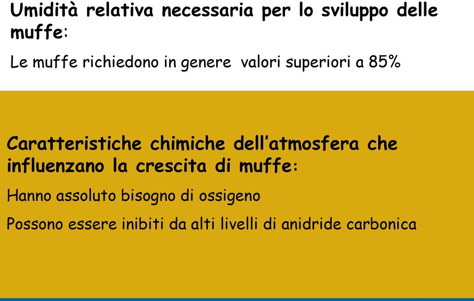 dell atmosfera che influenzano la crescita di muffe: Hanno assoluto