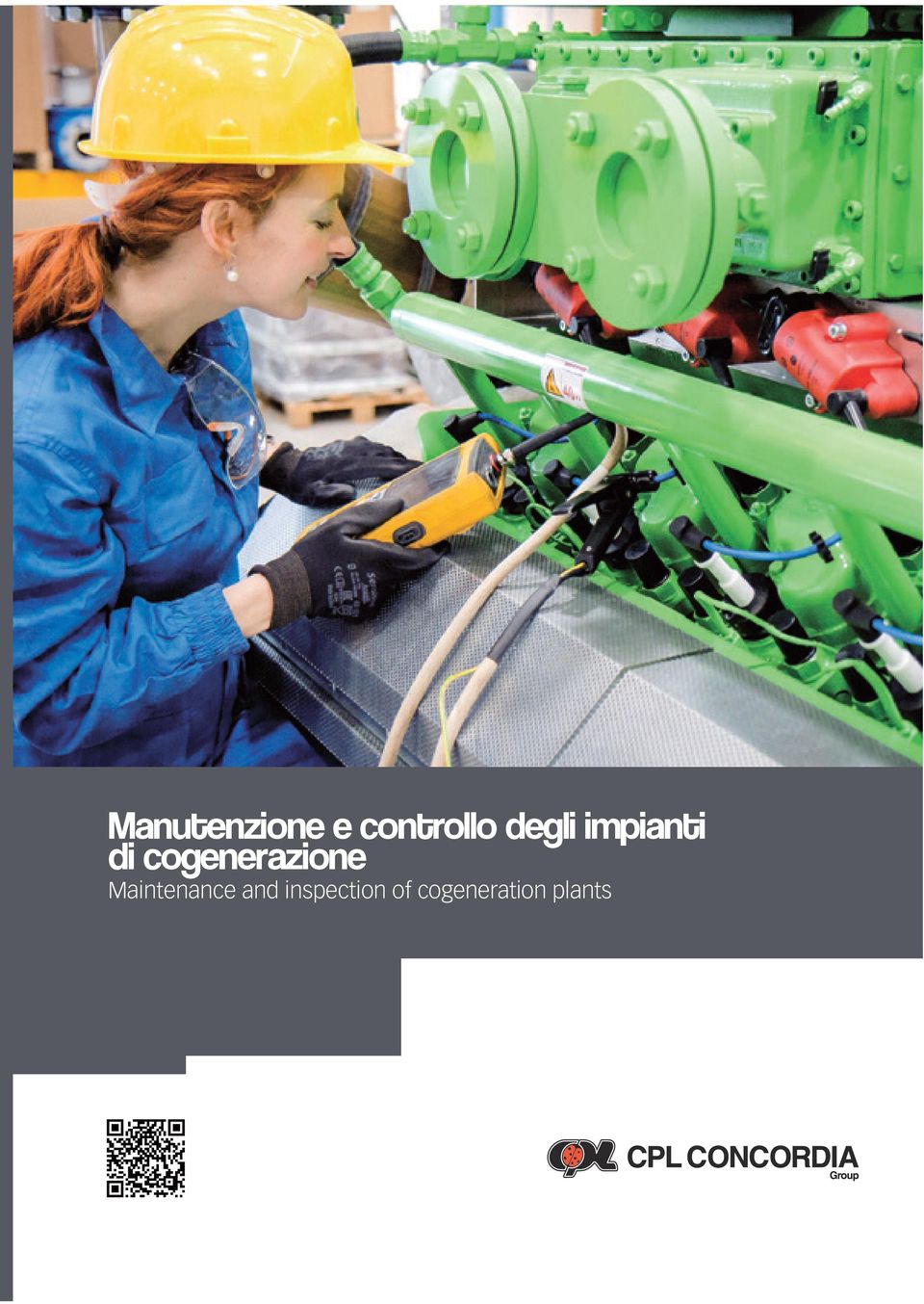 cogenerazione Maintenance