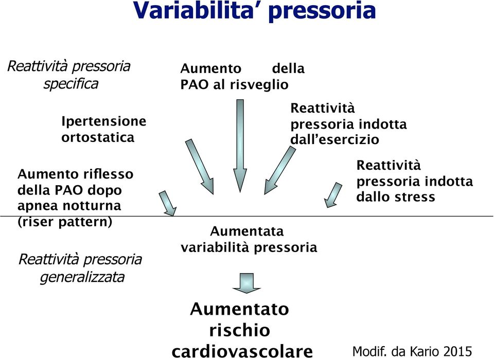 apnea notturna (riser pattern) Reattività pressoria generalizzata Aumentata variabilità