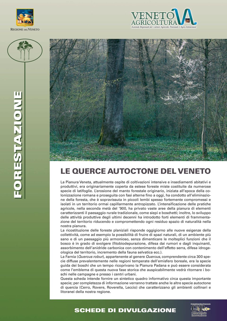 L erosione del manto forestale originario, iniziata all epoca della colonizzazione romana e proseguita con fasi alterne fino a oggi, ha condotto all eliminazione della foresta, che è sopravissuta in