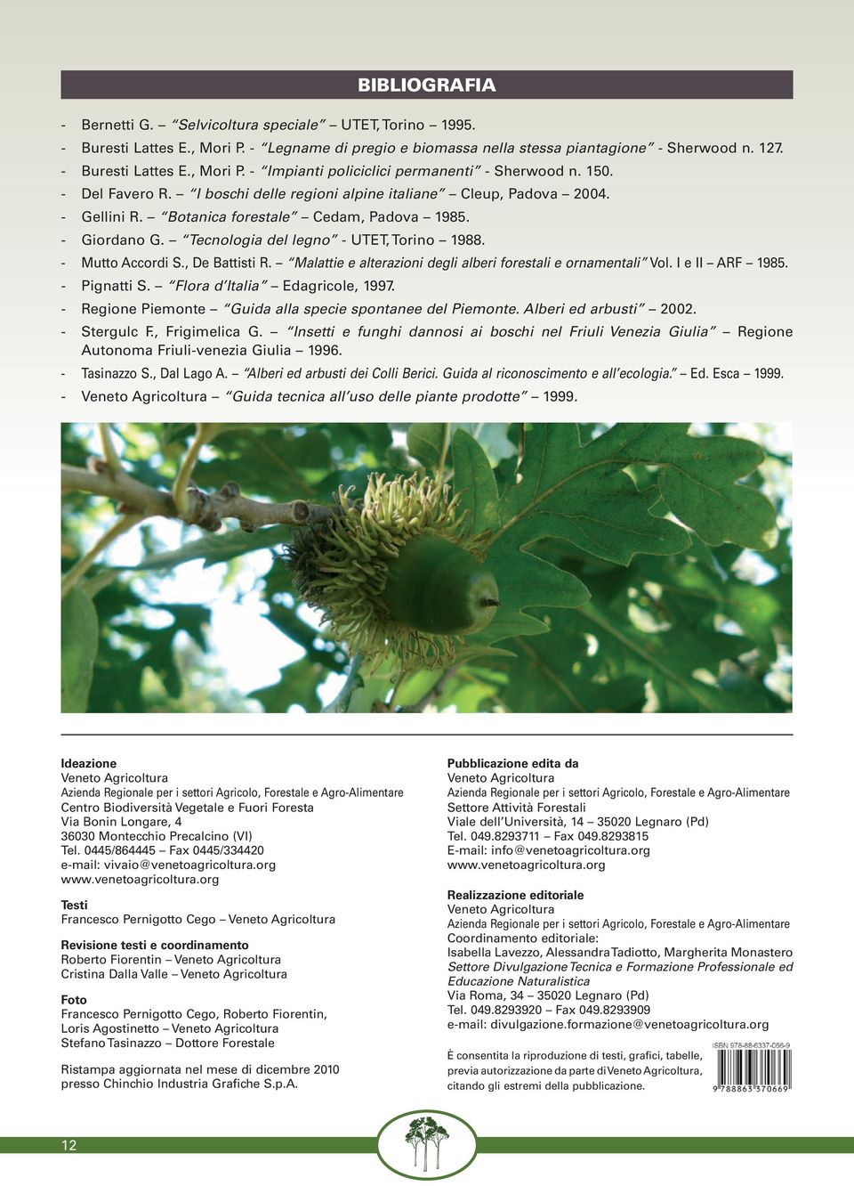 - Mutto Accordi S., De Battisti R. Malattie e alterazioni degli alberi forestali e ornamentali Vol. I e II ARF 1985. - Pignatti S. Flora d Italia Edagricole, 1997.