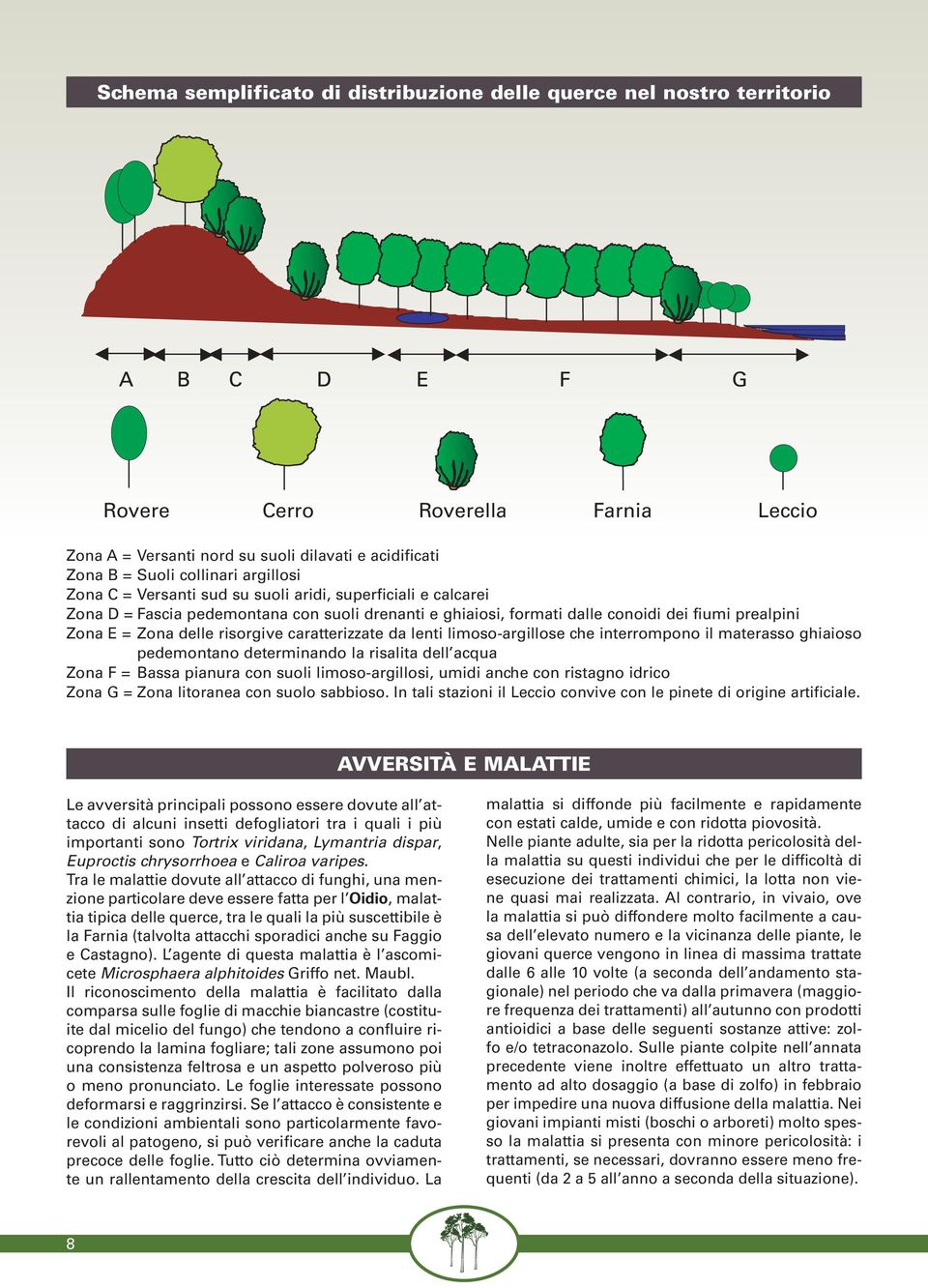 Zona delle risorgive caratterizzate da lenti limoso-argillose che interrompono il materasso ghiaioso pedemontano determinando la risalita dell acqua Zona F = Bassa pianura con suoli limoso-argillosi,