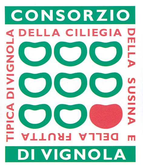 Città di Vignola Giornata del risparmio energetico VII edizione ore 18,30: 18 Febbraio 2011 Piazza Braglia ANTEPRIMA DELLE CELEBRAZIONI PER IL 150 DELL UNITA