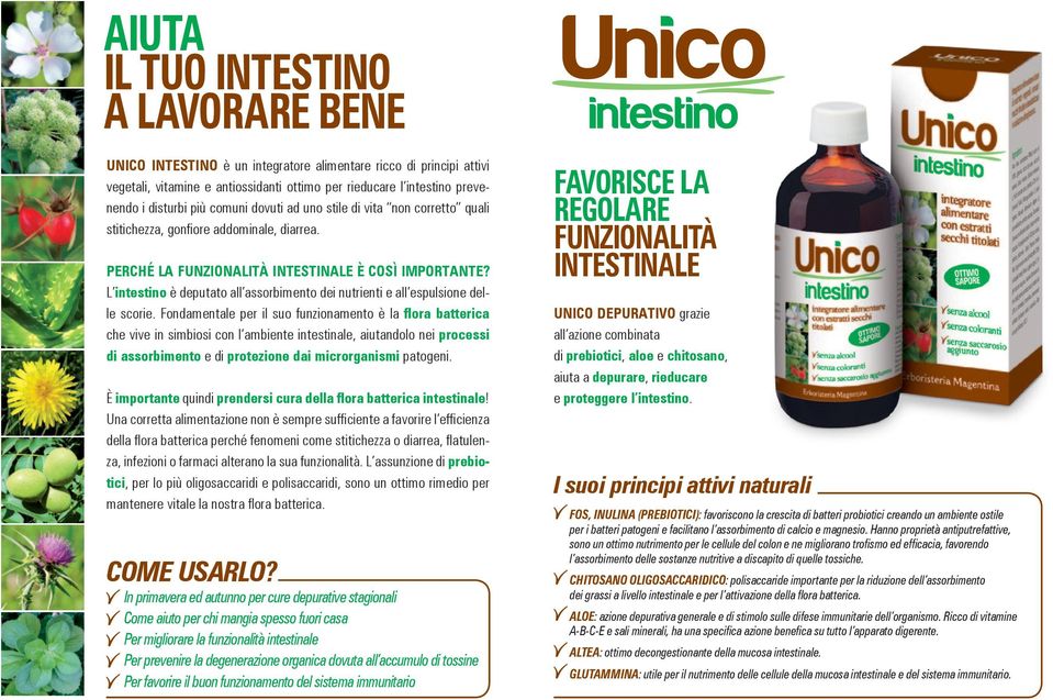 L intestino è deputato all assorbimento dei nutrienti e all espulsione delle scorie.