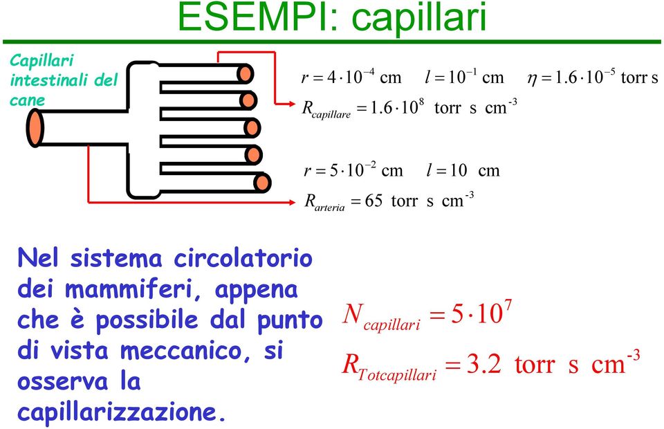 6 0 5 torr s r 5 0 arteria cm l 0 cm 65 torr s cm -3 Nel sistema circolatorio