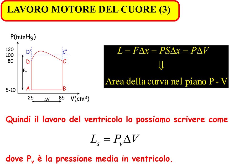 V Quindi il lavoro del ventricolo lo possiamo scrivere