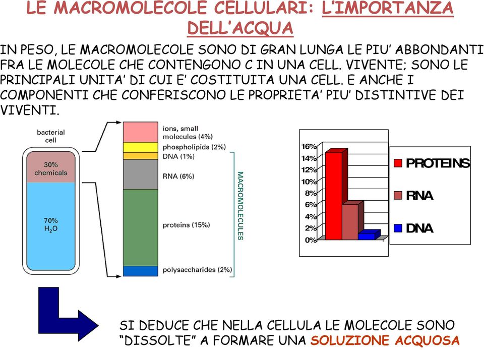 VIVENTE; SONO LE PRINCIPALI UNITA DI CUI E COSTITUITA UNA CELL.