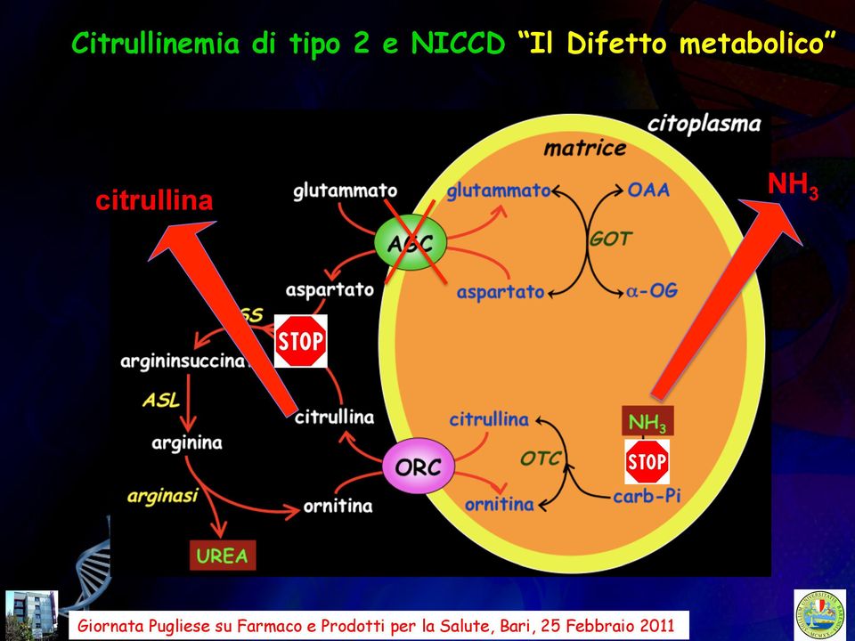 Difetto