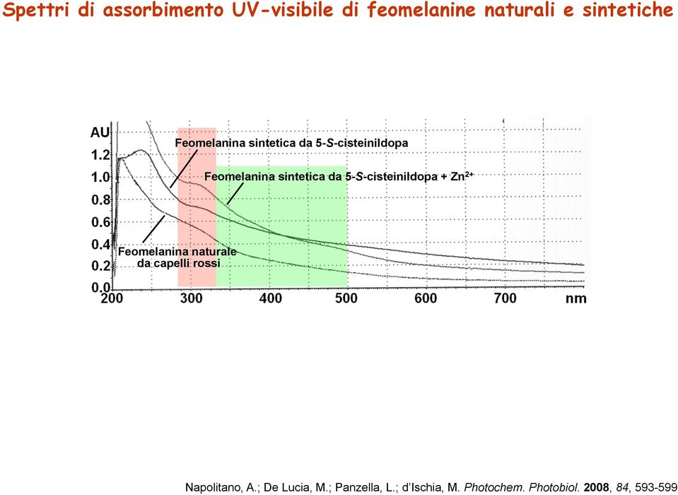 5-S-cisteinildopa + Zn 2+ Feomelanina naturale da capelli rossi Napolitano,