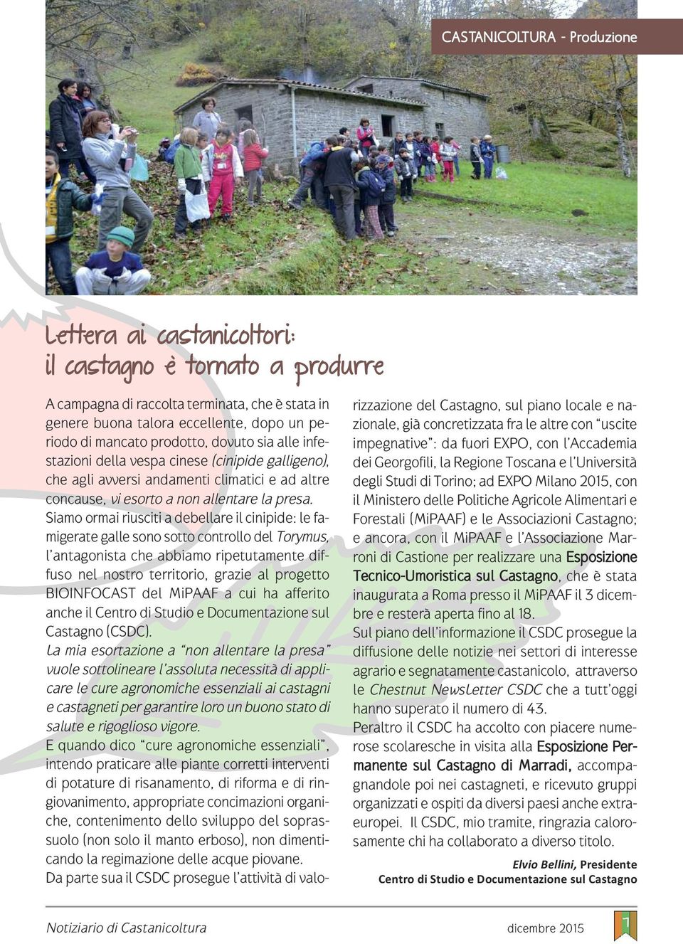 Siamo ormai riusciti a debellare il cinipide: le famigerate galle sono sotto controllo del Torymus, l antagonista che abbiamo ripetutamente diffuso nel nostro territorio, grazie al progetto