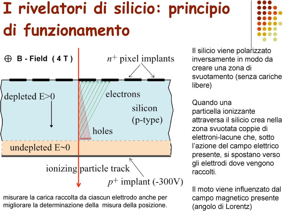 l azione del campo elettrico presente, si spostano verso gli elettrodi dove vengono raccolti.