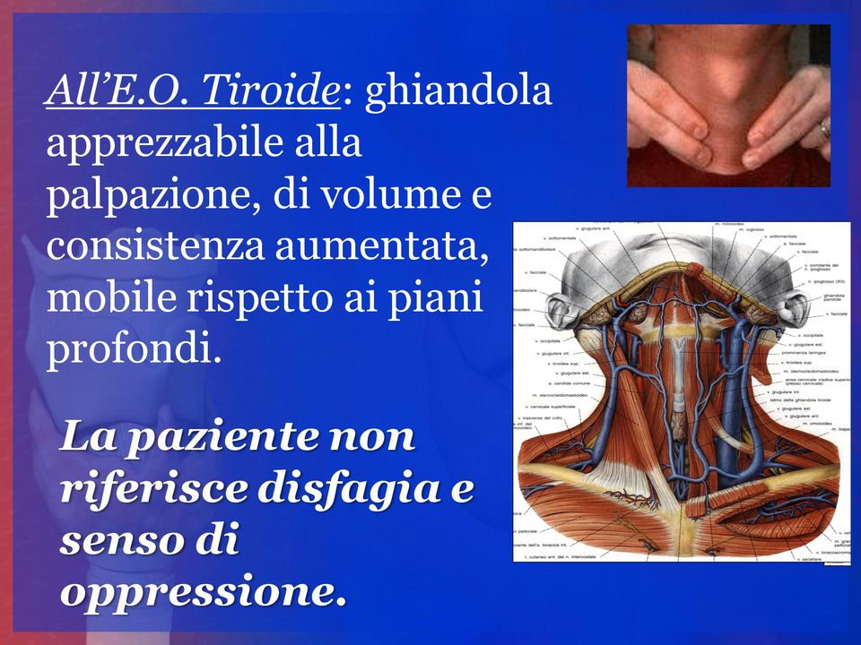 palpazione, di volume e consistenza aumentata,