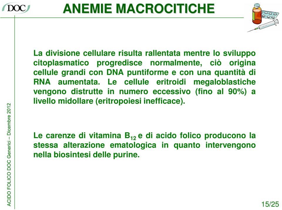 Le cellule eritroidi megaloblastiche vengono distrutte in numero eccessivo (fino al 90%) a livello midollare (eritropoiesi