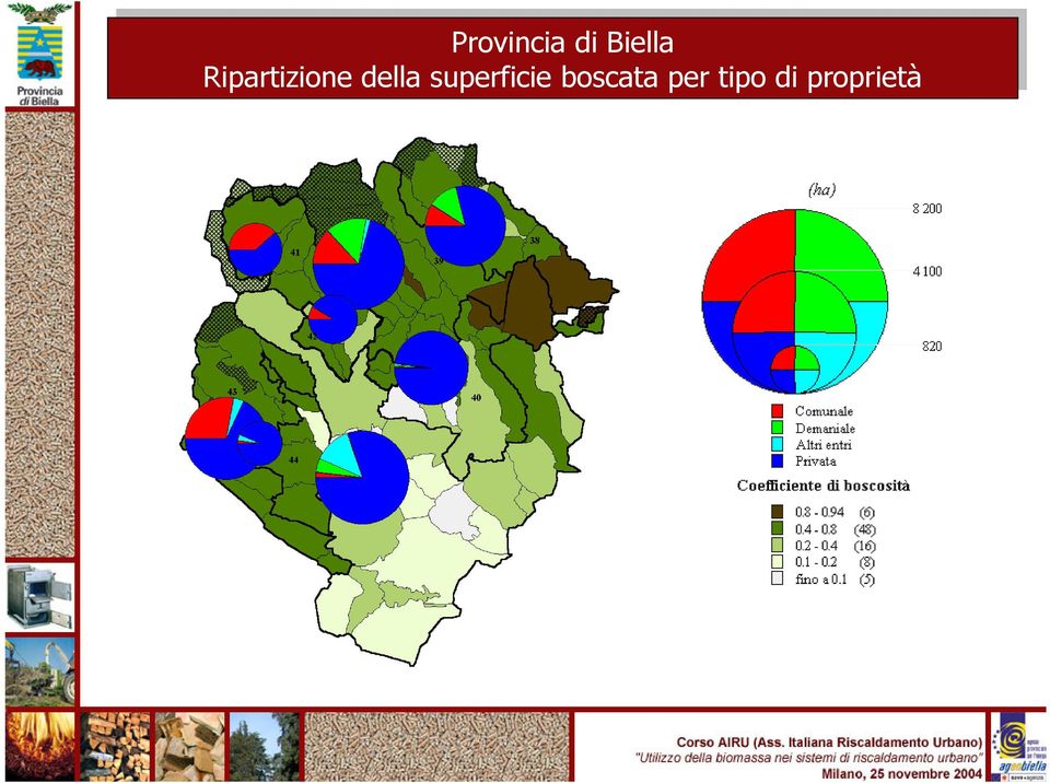 superficie boscata per