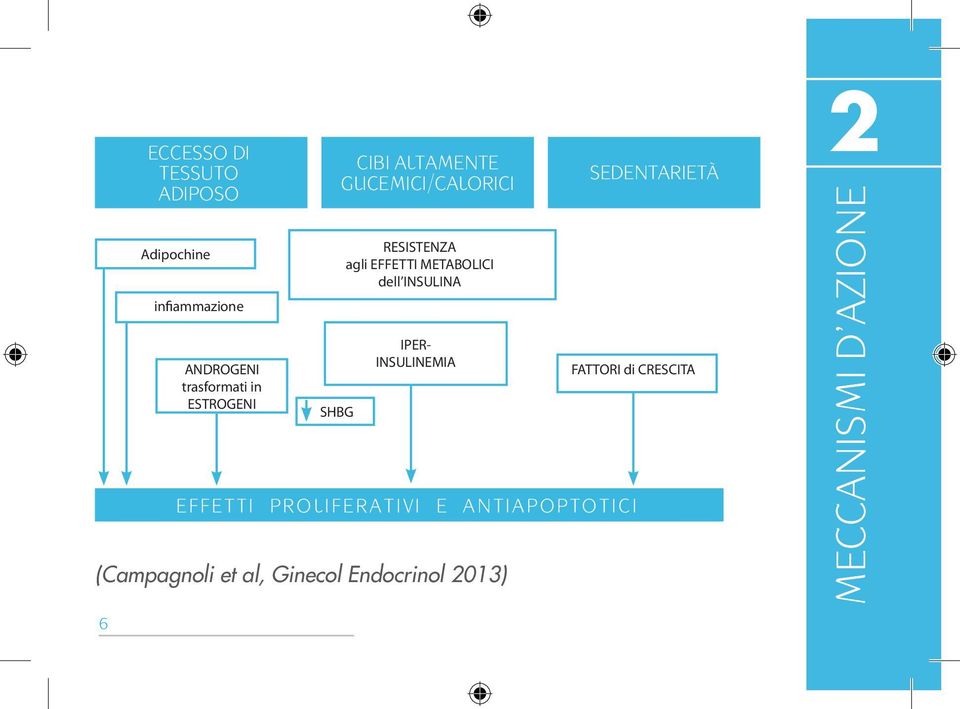 GLICEMICI/CALORICI SHBG RESISTENZA agli EFFETTI METABOLICI dell INSULINA IPER-