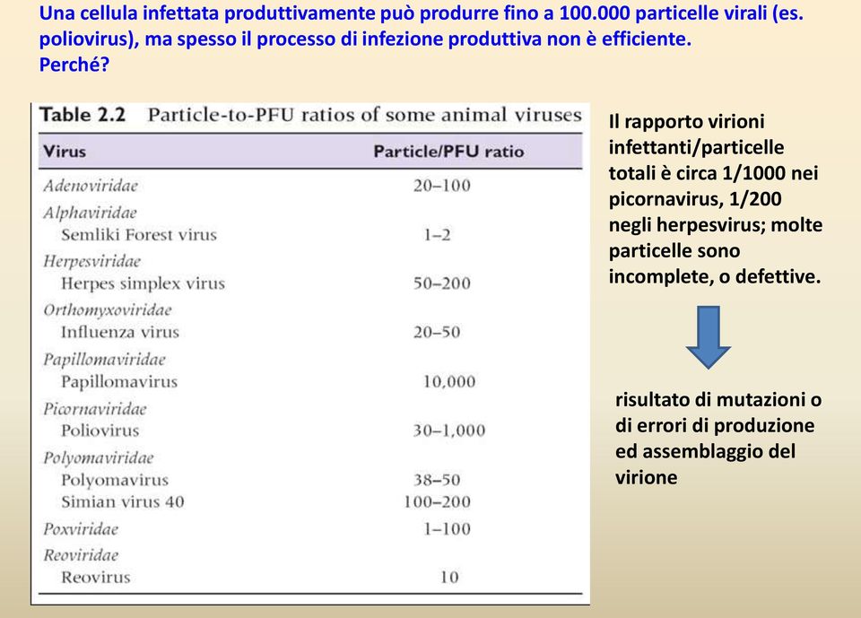 Il rapporto virioni infettanti/particelle totali è circa 1/1000 nei picornavirus, 1/200 negli