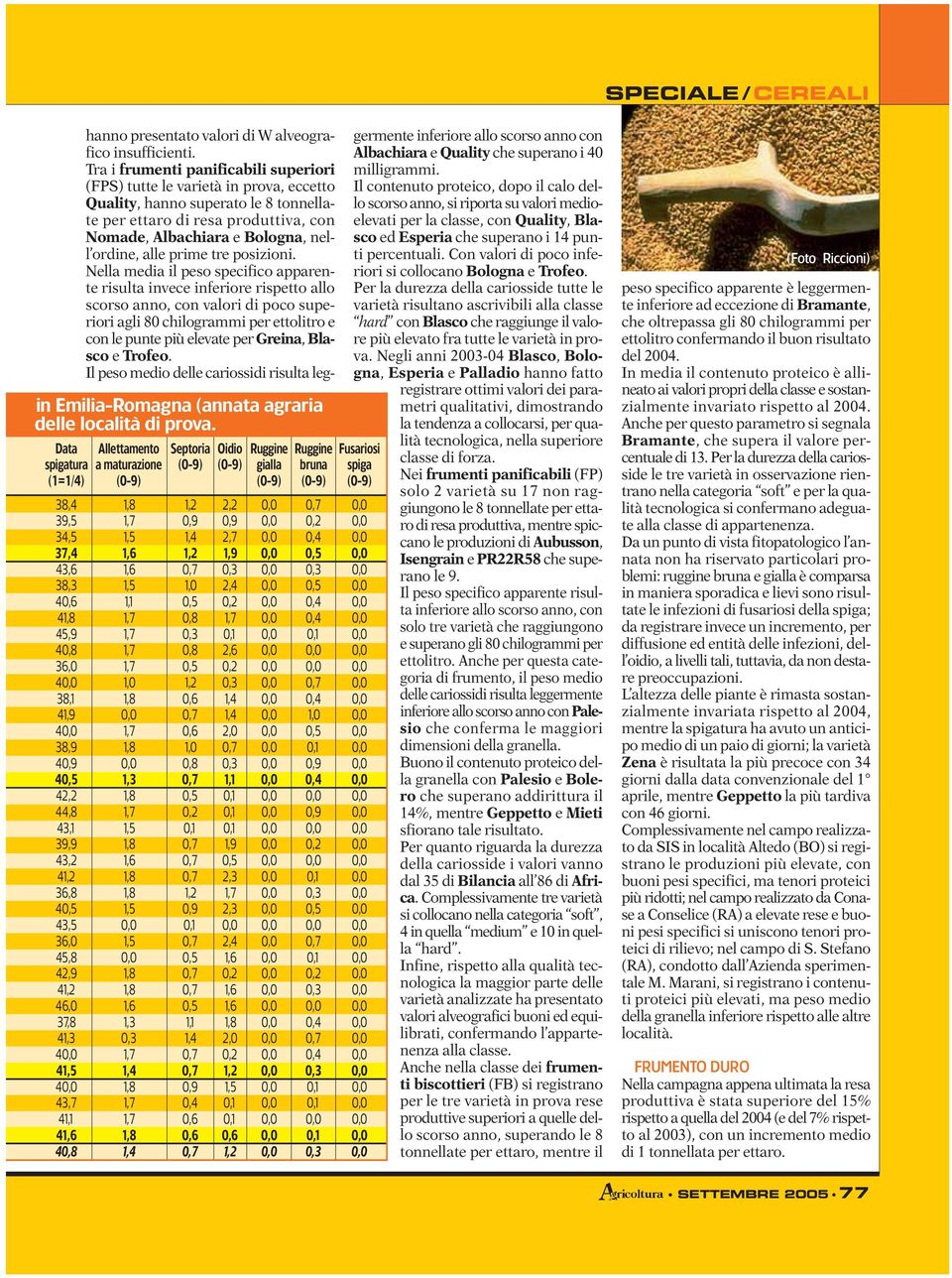 maturazione Septoria 0,8 0,8 0,6 0,6 0,8 0,6 0,6 Oidio 2,2 2,7 2,4 2,6 2,0 2,3 2,3 2,4 2,0 0,6 Ruggine gialla Ruggine bruna Fusariosi spiga hanno presentato valori di W alveografico insufficienti.