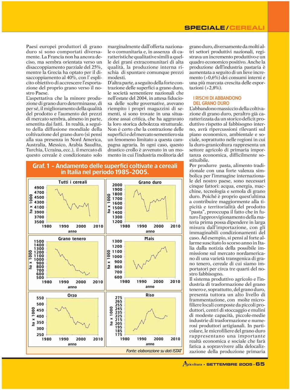 esportazione del proprio grano verso il nostro Paese.