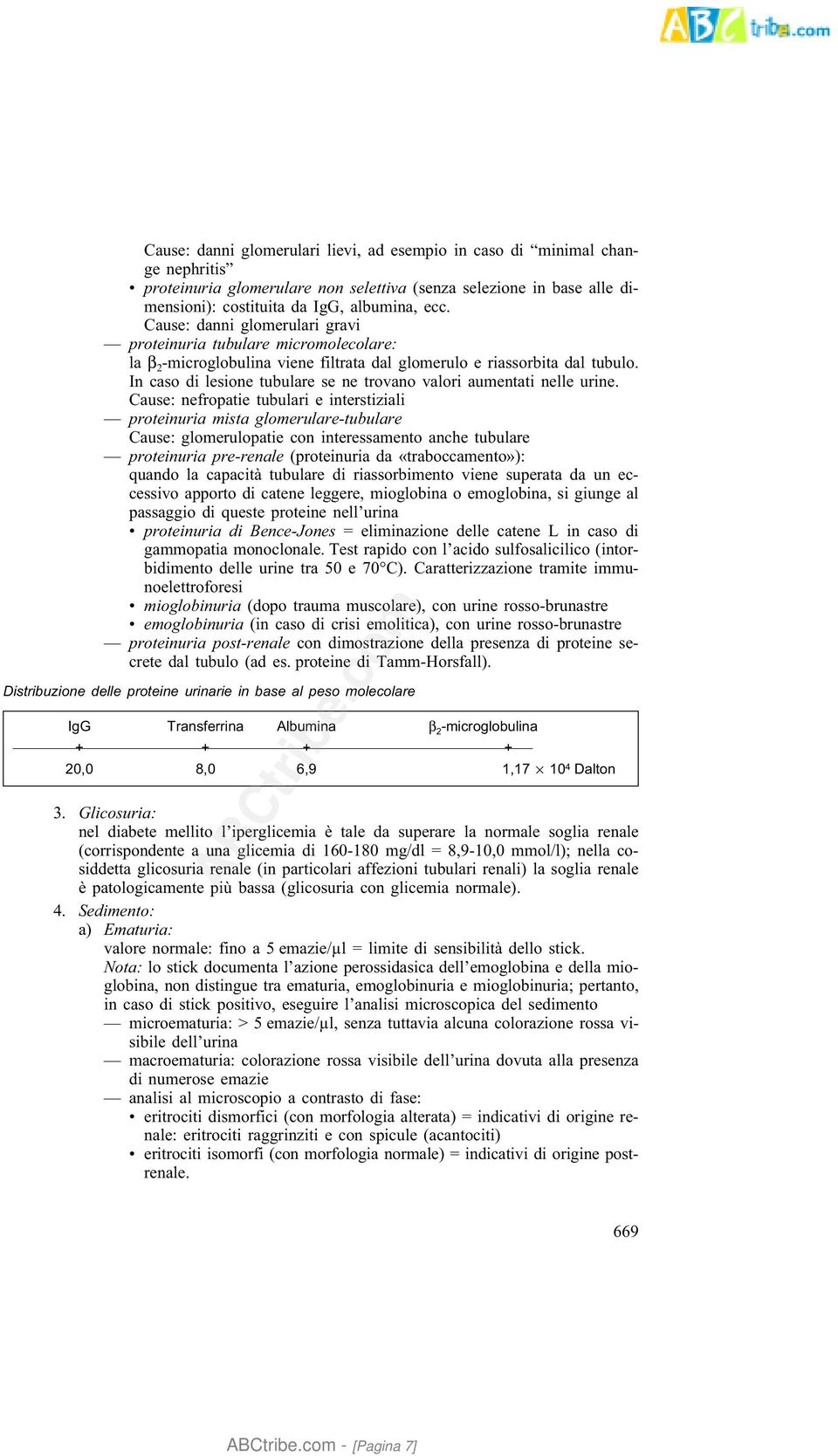 In caso di lesione tubulare se ne trovano valori aumentati nelle urine.