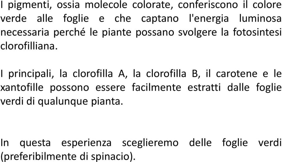 I principali, la clorofilla A, la clorofilla B, il carotene e le xantofille possono essere facilmente