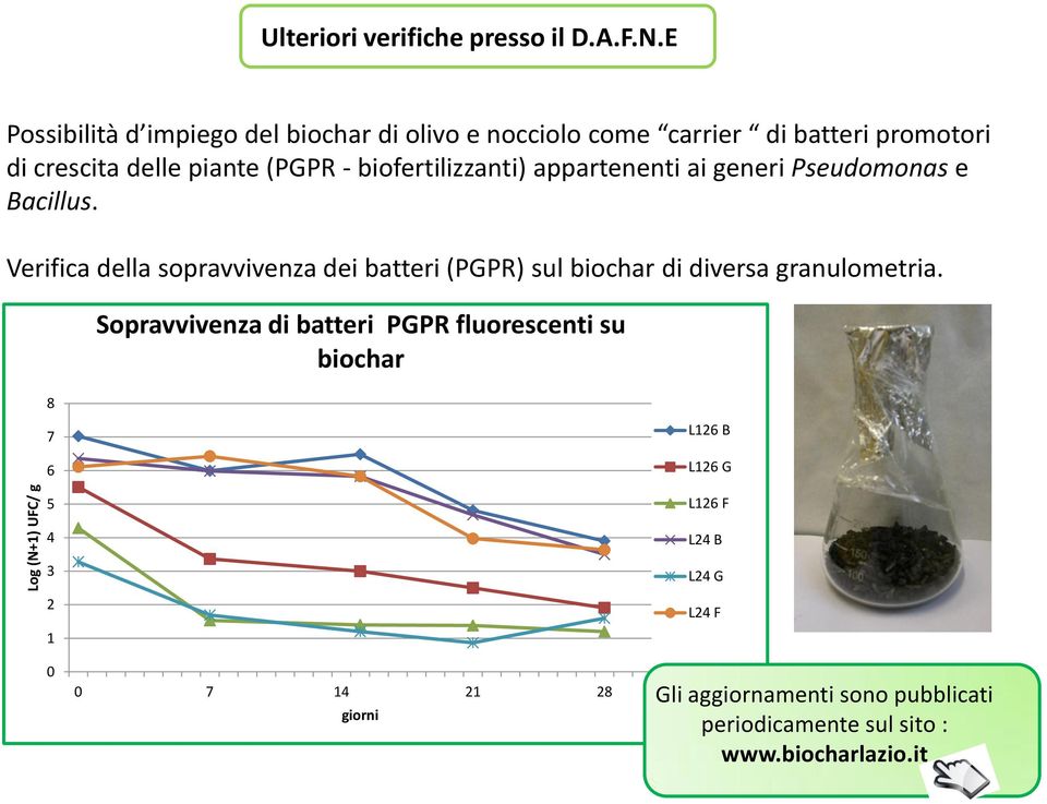 E Possibilità d impiego del biochar di olivo e nocciolo come carrier di batteri promotori di crescita delle piante (PGPR -