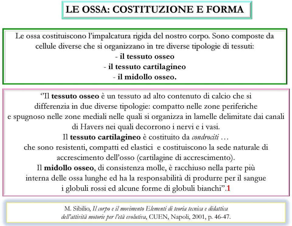 Il tessuto osseo è un tessuto ad alto contenuto di calcio che si differenzia in due diverse tipologie: compatto nelle zone periferiche e spugnoso nelle zone mediali nelle quali si organizza in