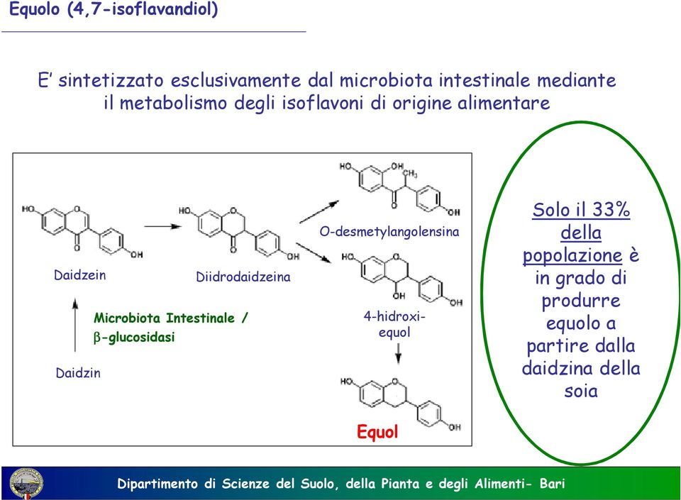 Microbiota Intestinale / β-glucosidasi Daidzin O-desmetylangolensina 4-hidroxiequol Solo