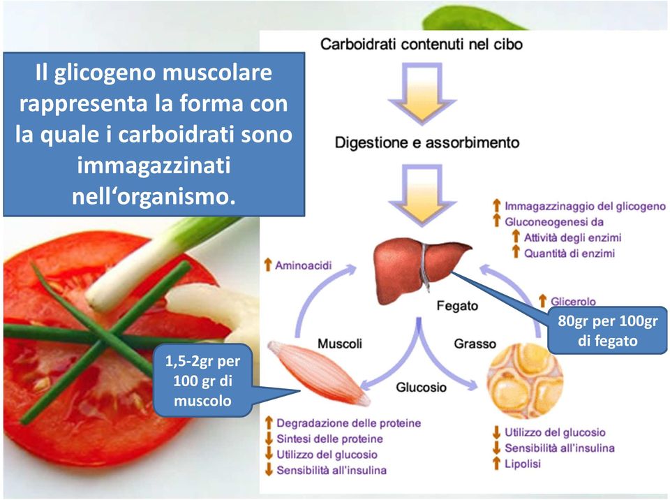 immagazzinati nell organismo.