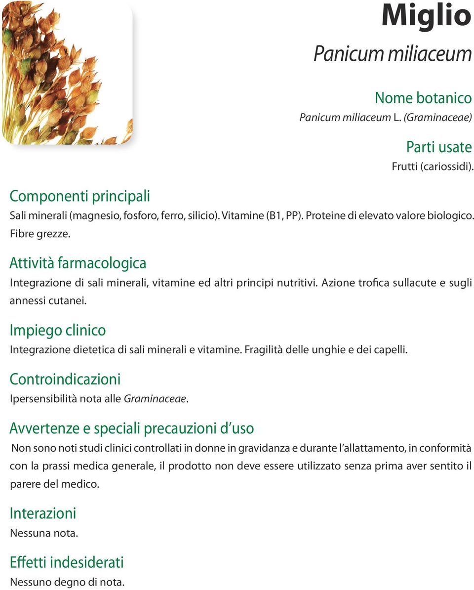 Impiego clinico Integrazione dietetica di sali minerali e vitamine. Fragilità delle unghie e dei capelli. Controindicazioni Ipersensibilità nota alle Graminaceae.