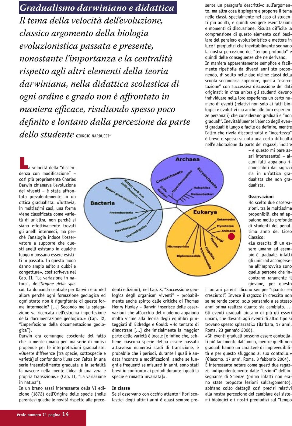 dello studente GIORGIO NARDUCCI* La velocità della discendenza con modificazione così più propriamente Charles Darwin chiamava l evoluzione dei viventi è stata affrontata prevalentemente in un ottica