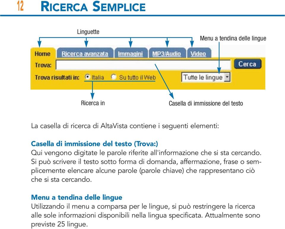 Si può scrivere il testo sotto forma di domanda, affermazione, frase o semplicemente elencare alcune parole (parole chiave) che rappresentano ciò che si sta