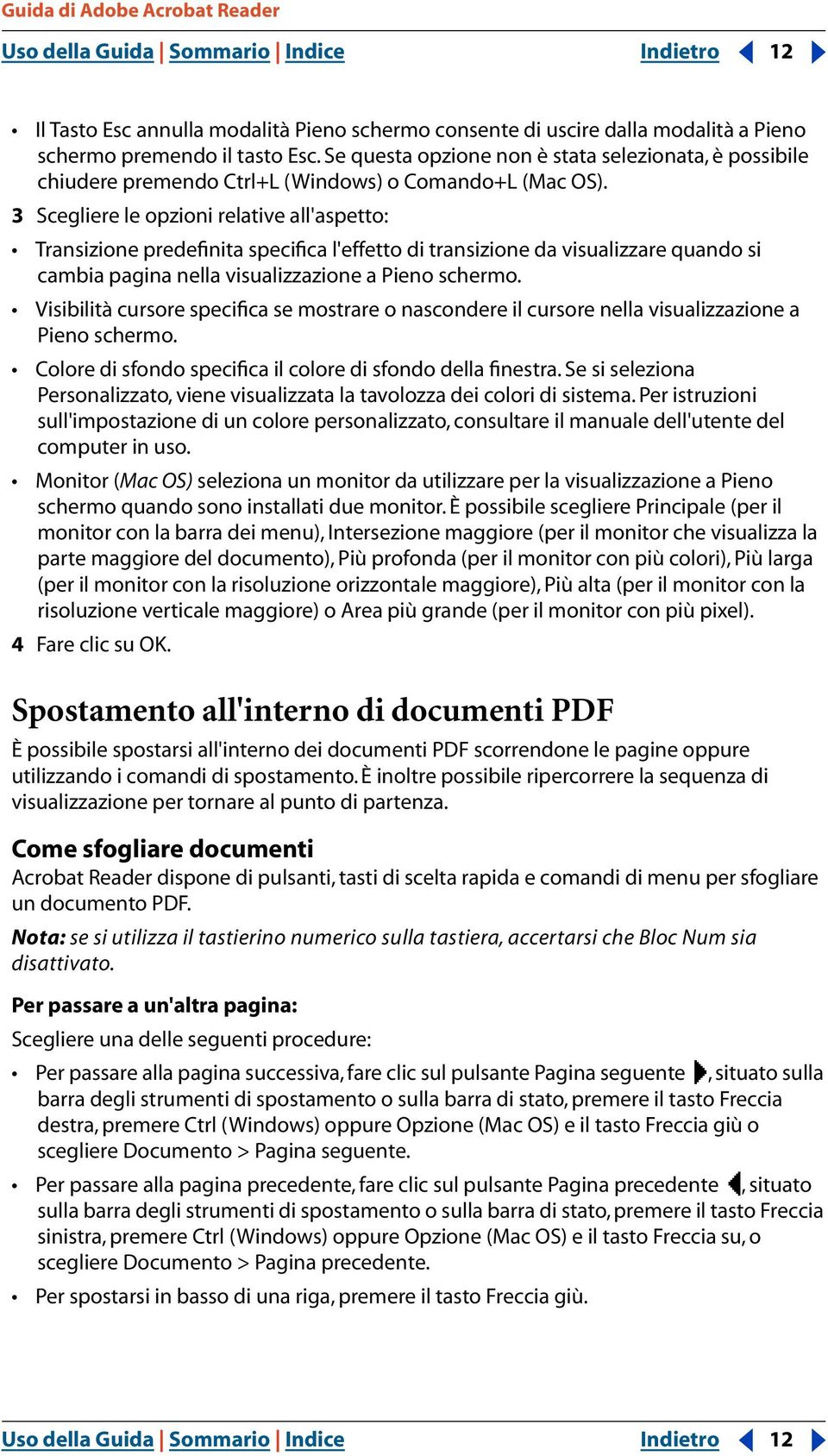 3 Scegliere le opzioni relative all'aspetto: Transizione predefinita specifica l'effetto di transizione da visualizzare quando si cambia pagina nella visualizzazione a Pieno schermo.