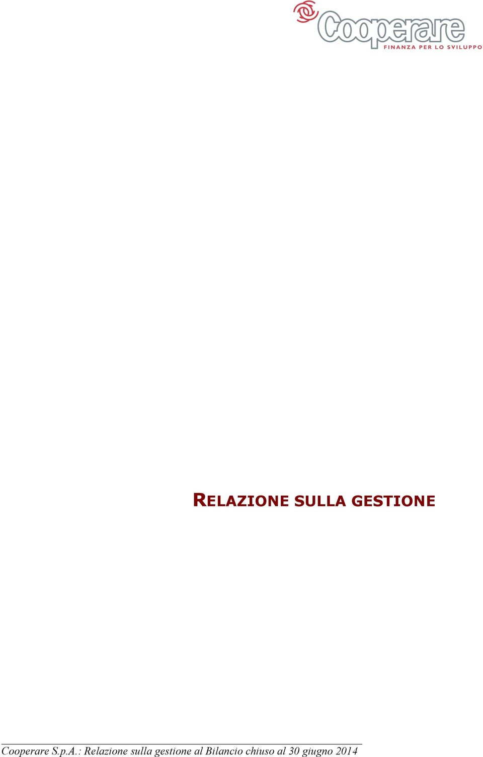 : Relazione sulla gestione