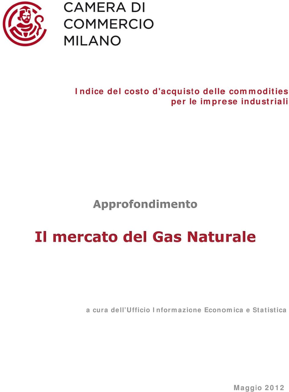 ofondimento Il mercato del Gas Natu rale a cura