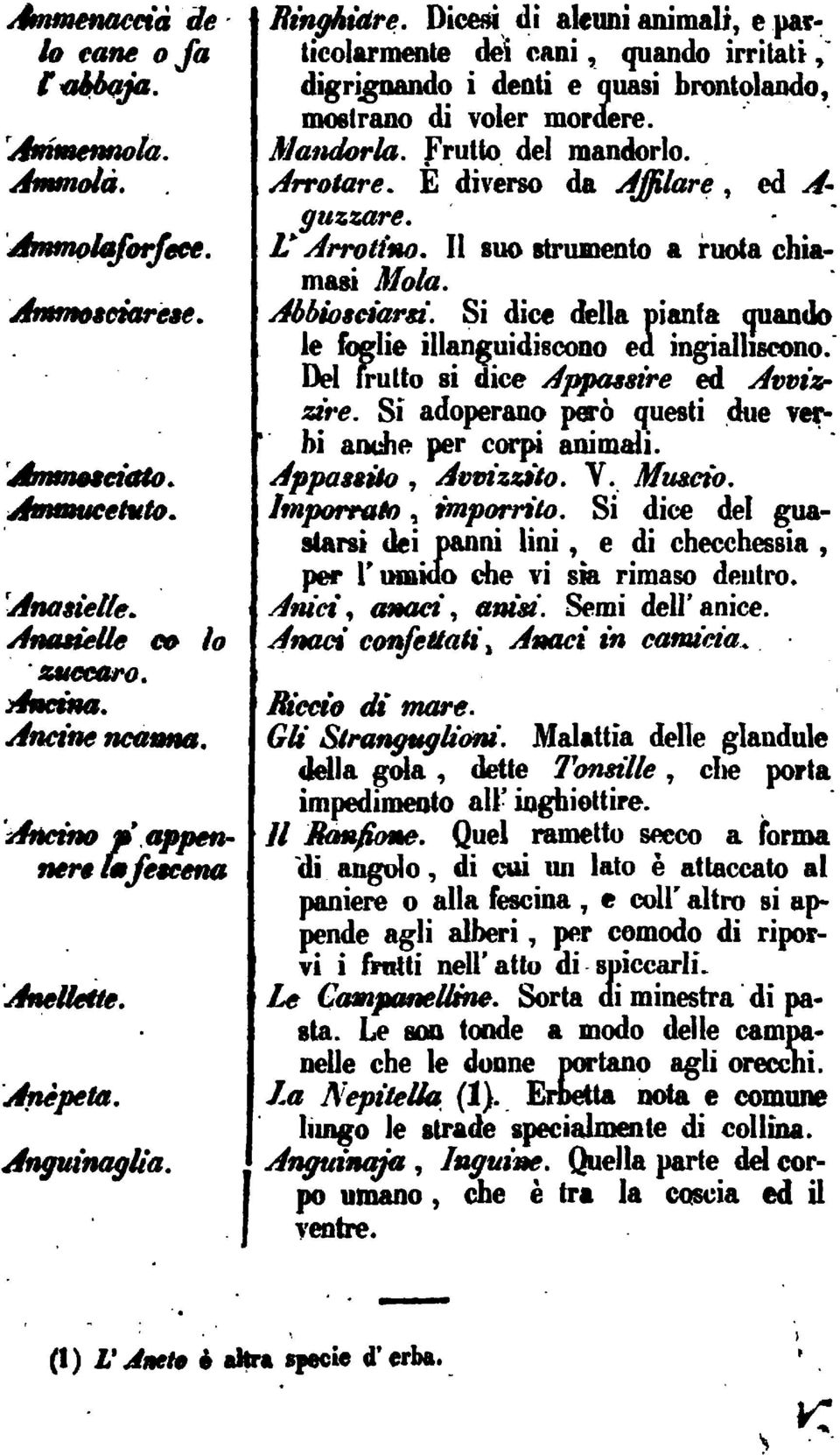 E diverso da Affilare ed A- guxxare. L'Arrotino. II suo rtrumeato a ruota chiamasi Mola. A""hteiargi. Si dice della piantaquando le filali" illanguidiscfhio Dd frutto si dice Apptusireed Avviasire.