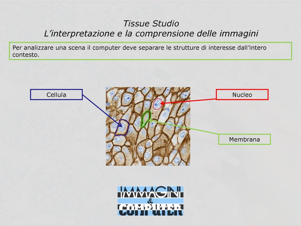 computer deve separare le strutture di