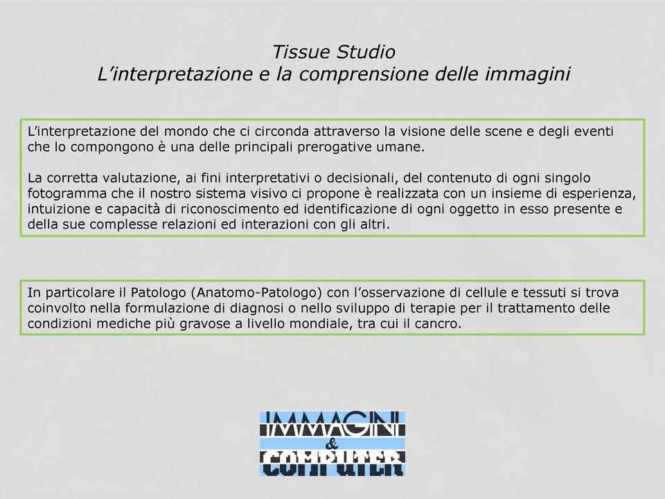 La corretta valutazione, ai fini interpretativi o decisionali, del contenuto di ogni singolo fotogramma che il nostro sistema visivo ci propone è realizzata con un insieme di esperienza, intuizione e