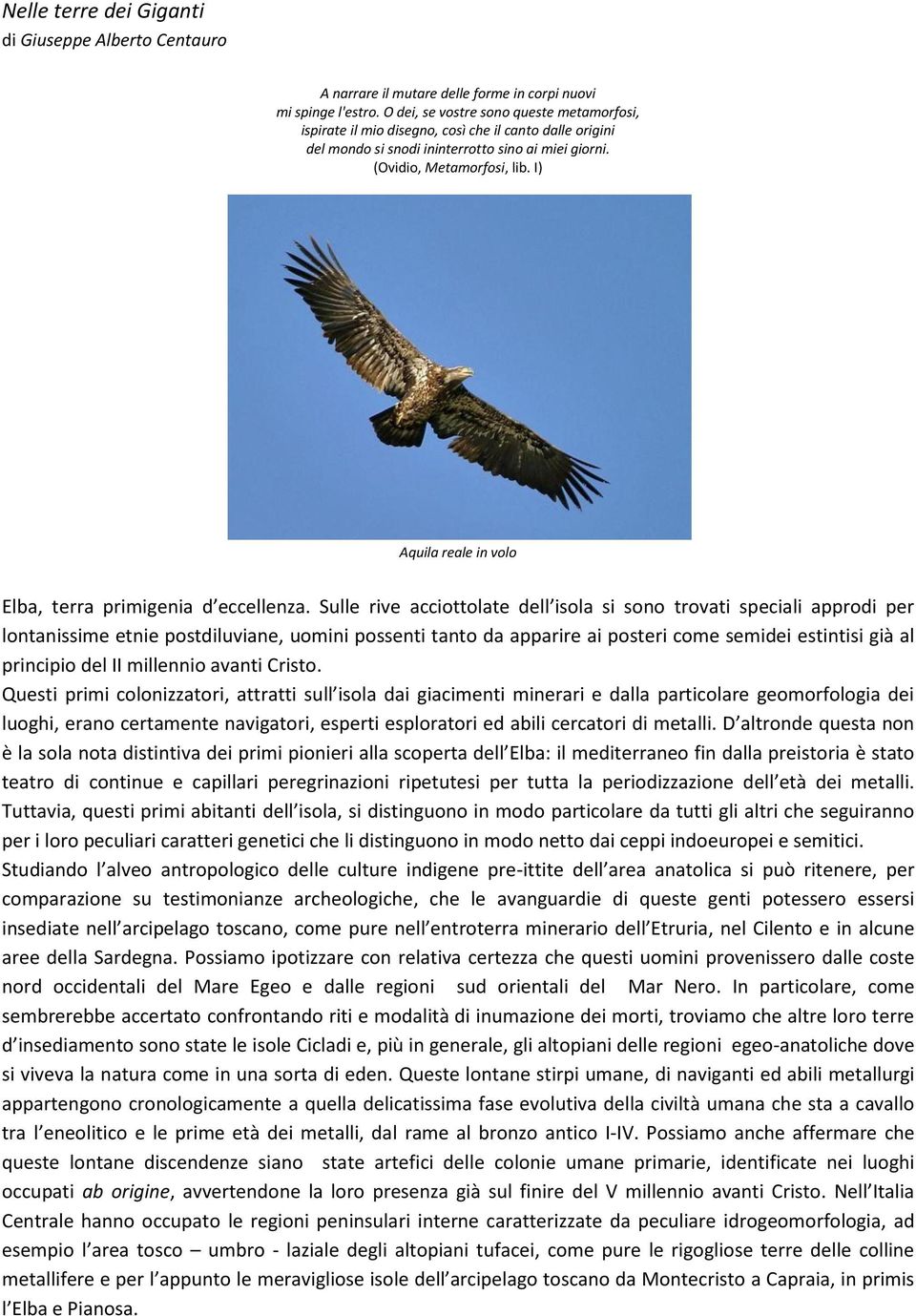 I) Aquila reale in volo Elba, terra primigenia d eccellenza.