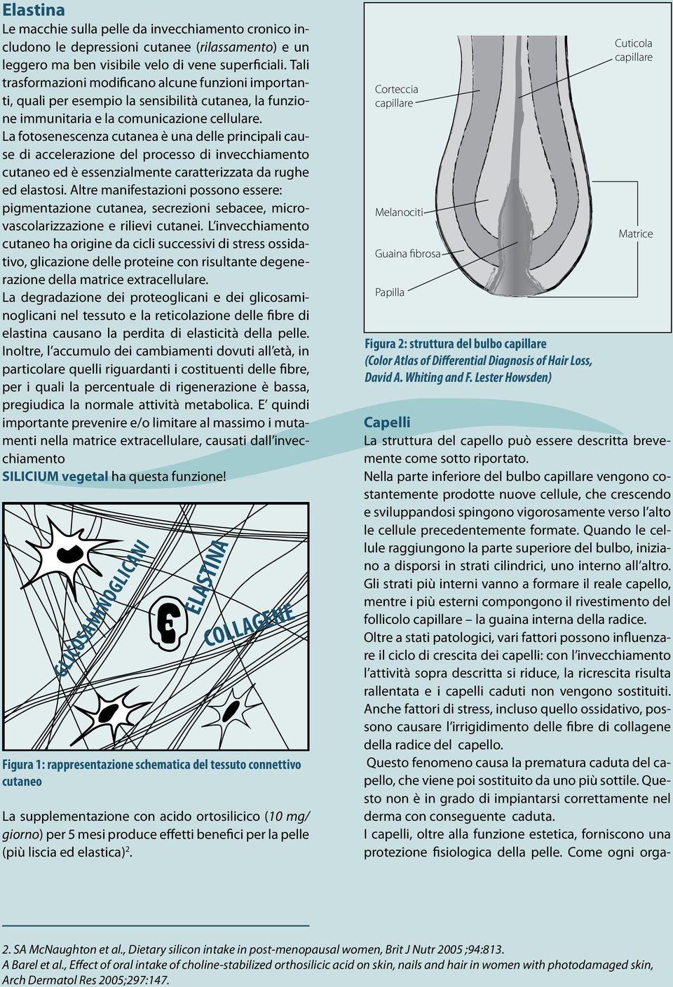 La fotosenescenza cutanea è una delle principali cause di accelerazione del processo di invecchiamento cutaneo ed è essenzialmente caratterizzata da rughe ed elastosi.