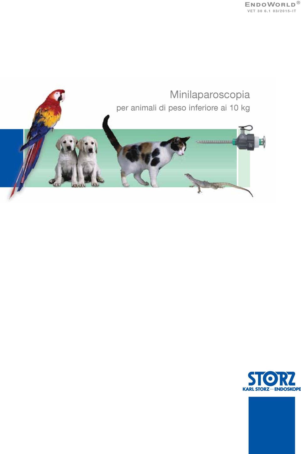 Minilaparoscopia