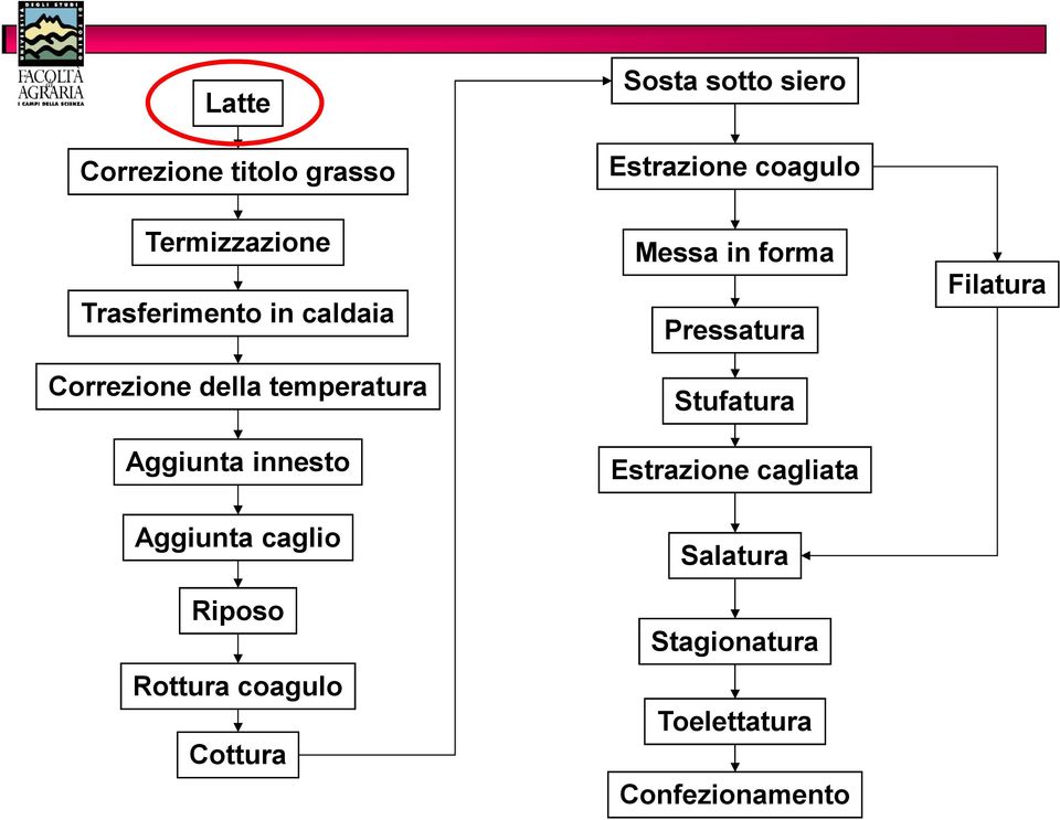 innesto Aggiunta caglio Riposo Rottura coagulo Cottura Messa in forma