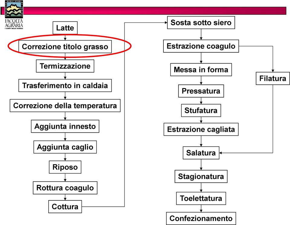 innesto Aggiunta caglio Riposo Rottura coagulo Cottura Messa in forma